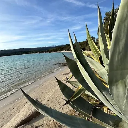 Maison D Santa Giulia